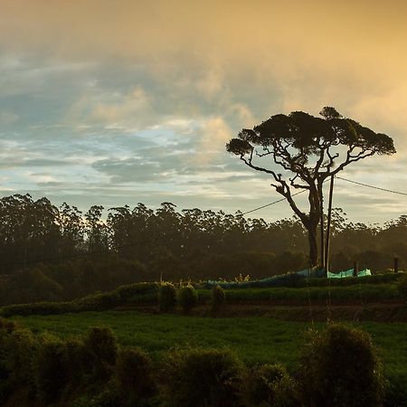 Grand Camellia Hotel Nuwara Eliya Ngoại thất bức ảnh